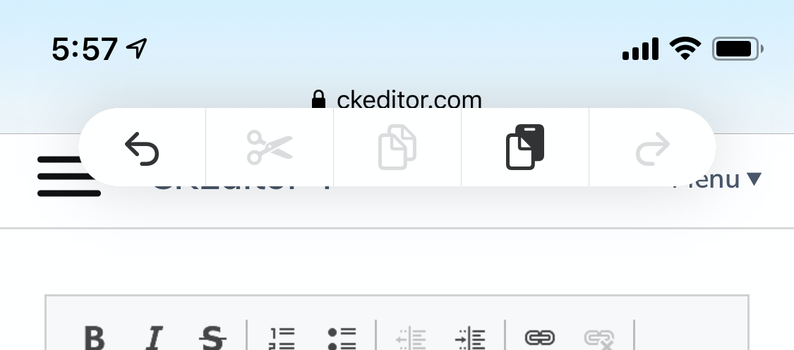 System-wide editing controls on iOS